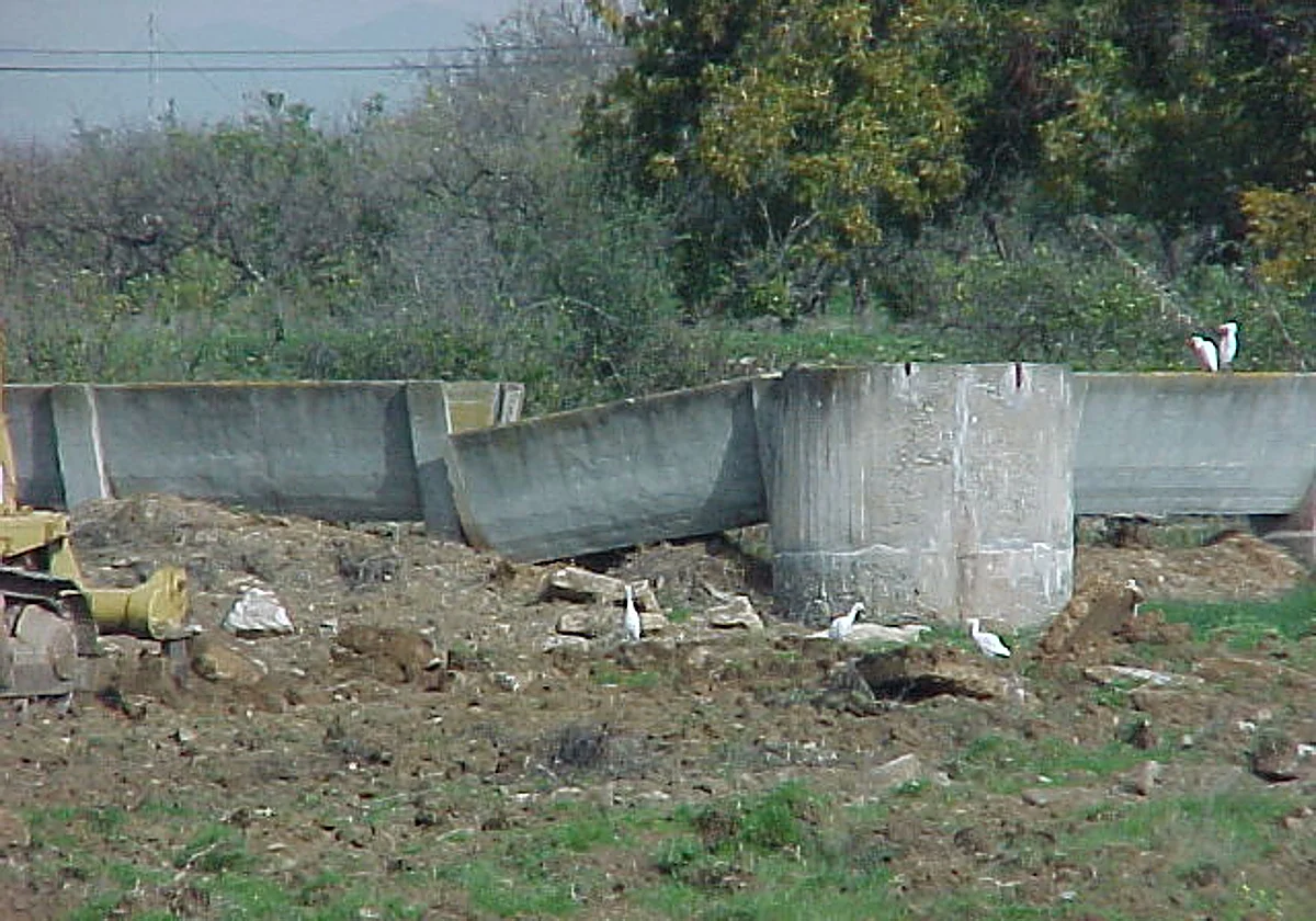 El Guadalhorce pide adelantar los riegos y una dotación para este año de 37 hectómetros cúbicos