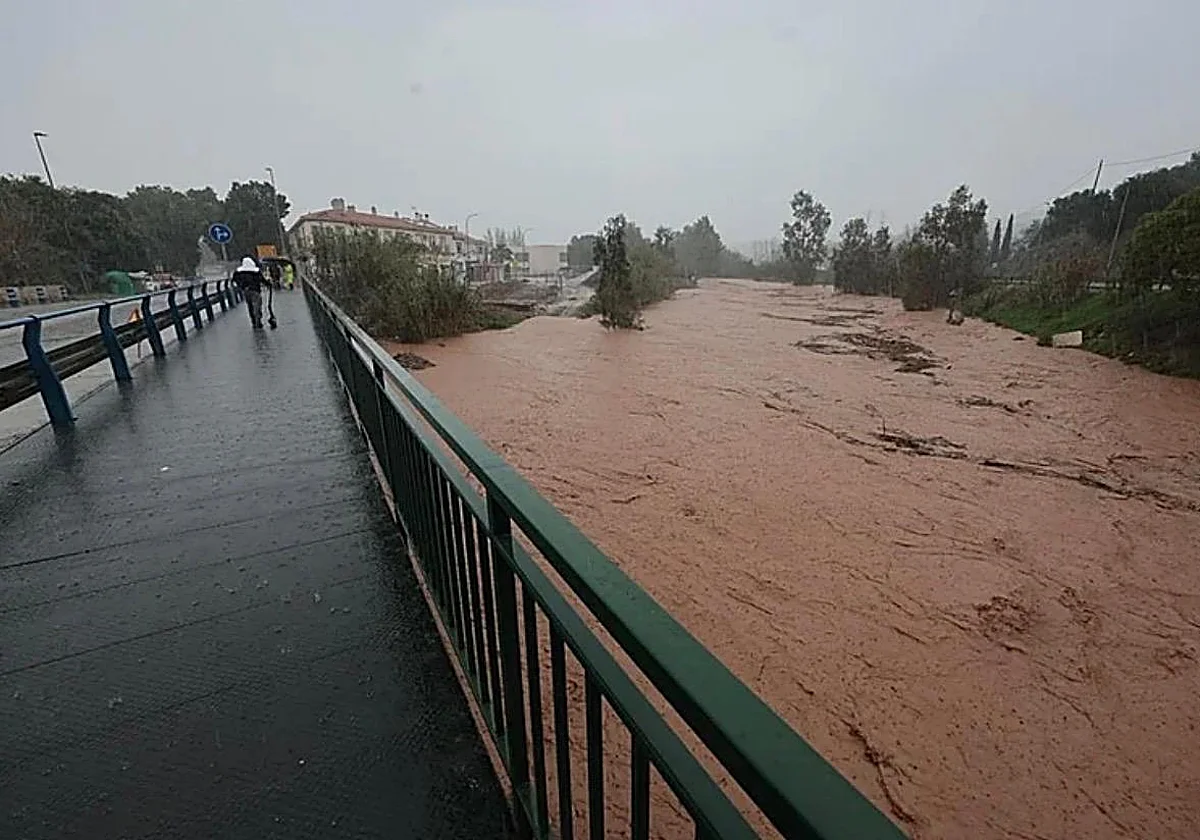 Malaga city extends anti-mosquito proliferation measures to prevent spread of West Nile virus