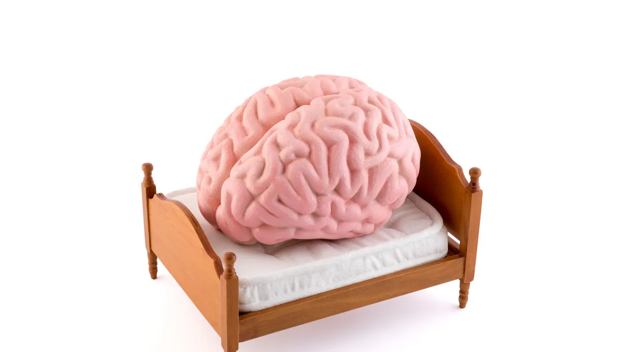 La actividad cerebral al dormir podría ser clave para anticipar la demencia