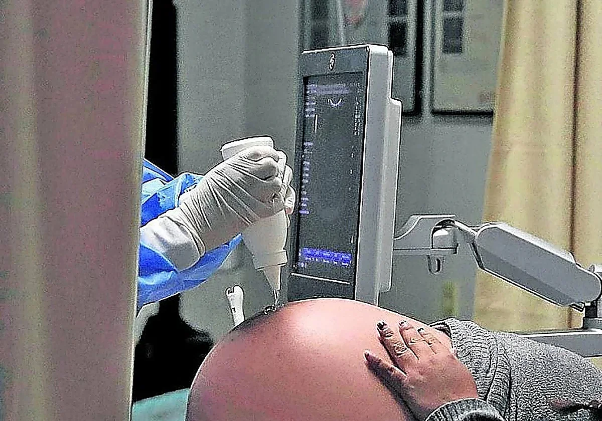 La huella imborrable del alcohol: así daña el corazón y el cerebro del bebé