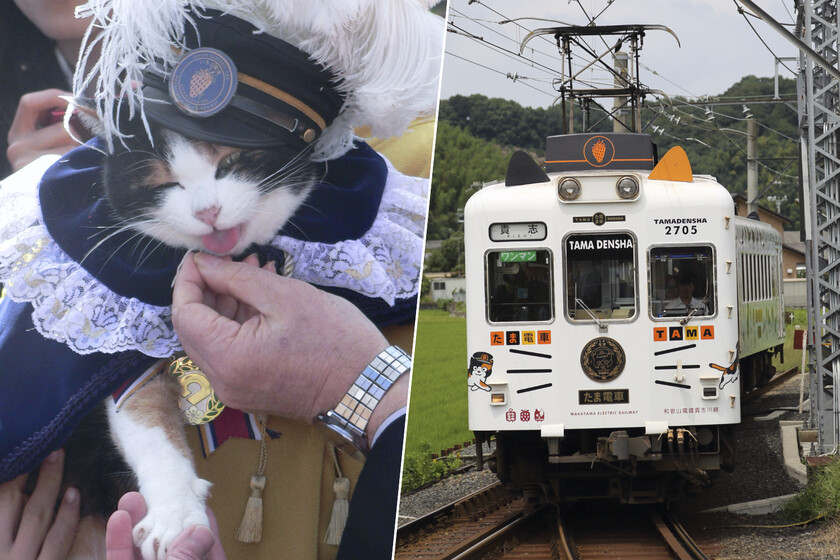 Me llamo Tama, soy jefa de estación en Japón y a mi funeral han venido 3.000 personas. Ah, soy una gata