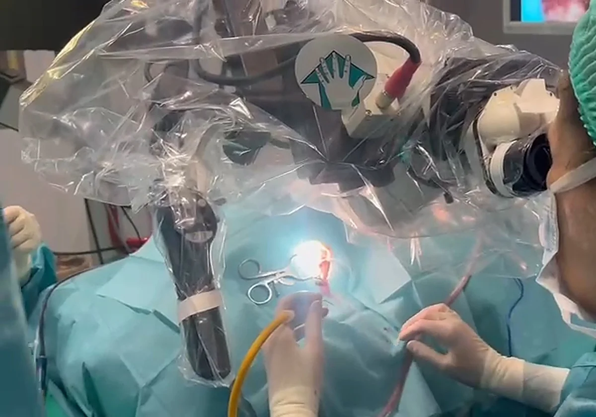 Malaga hospital saves 20 patients per year from profound hearing loss