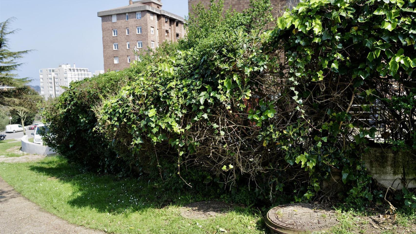 El detenido por la muerte de un aficionado del Racing es un exfutbolista y entrenador que trabajó en el Albacete Balompié