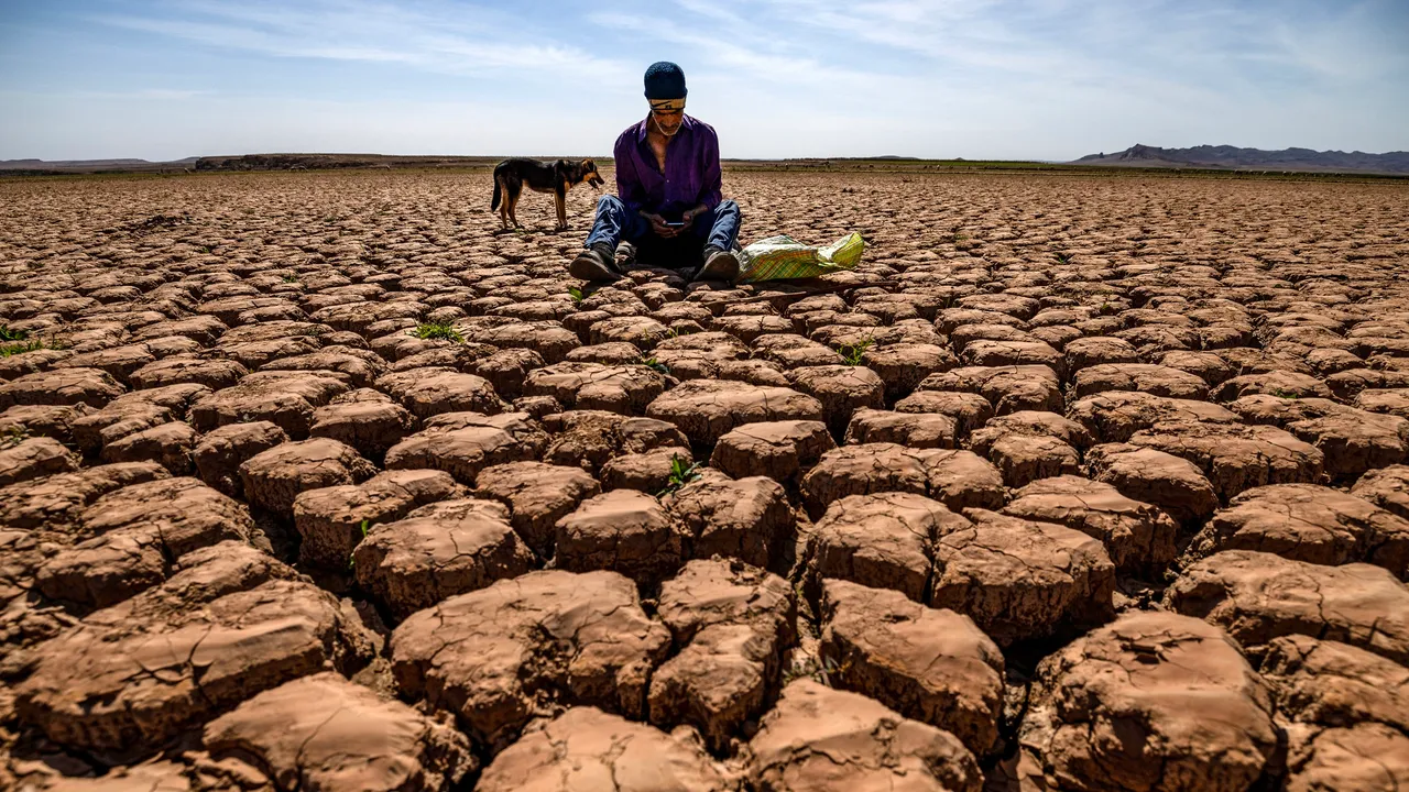 Es oficial: El planeta vive su década más calurosa y la OMM alerta sobre impactos duraderos