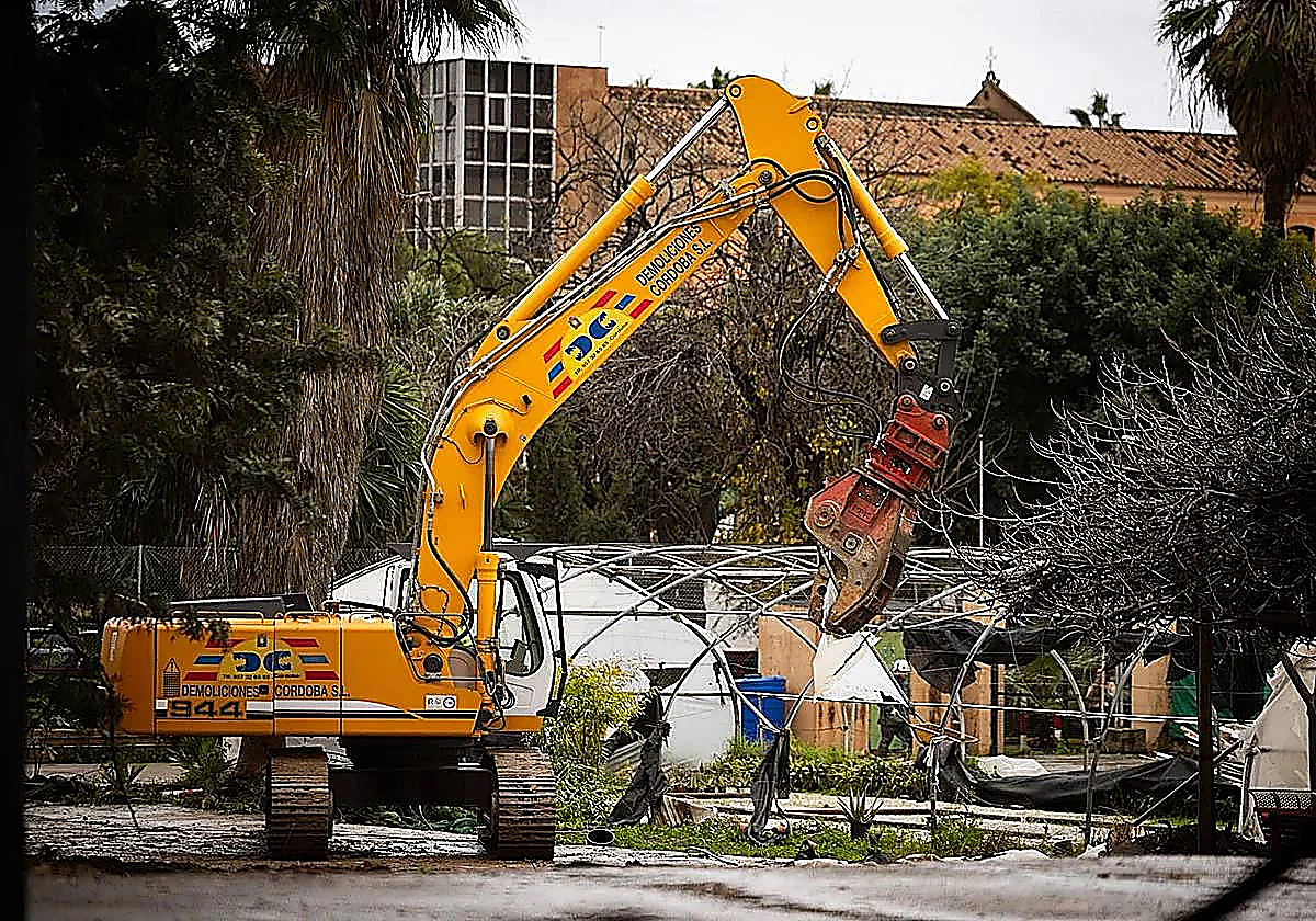 Malaga animal rights association says third hospital construction endangers cat colony