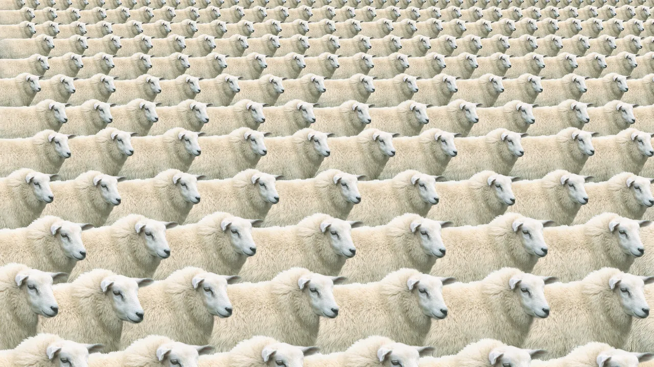 Resulta que no puedes clonar el mismo mamífero por siempre, según estudio