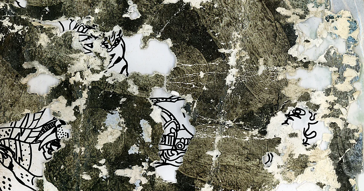 'Háptica': poética mortalidad de la imagen en Fontcuberta