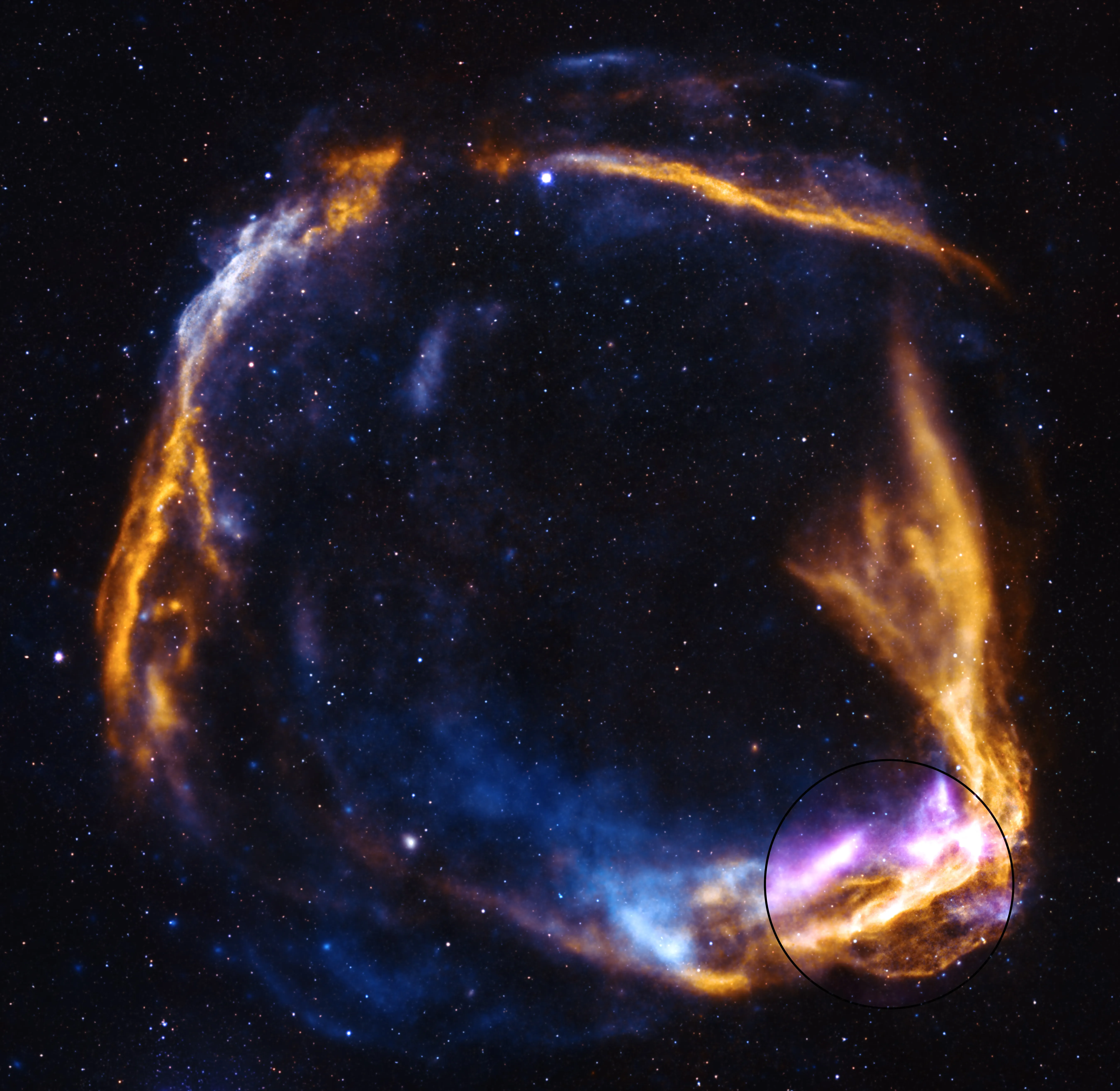 NASA’s IXPE Gets Fresh Look at Supernova