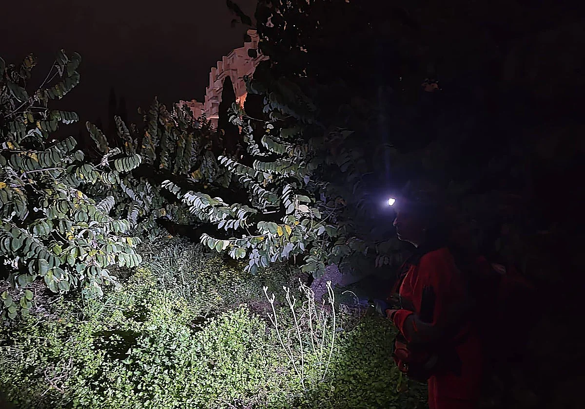 Man attacks son-in-law with a hammer in Almuñécar before killing himself