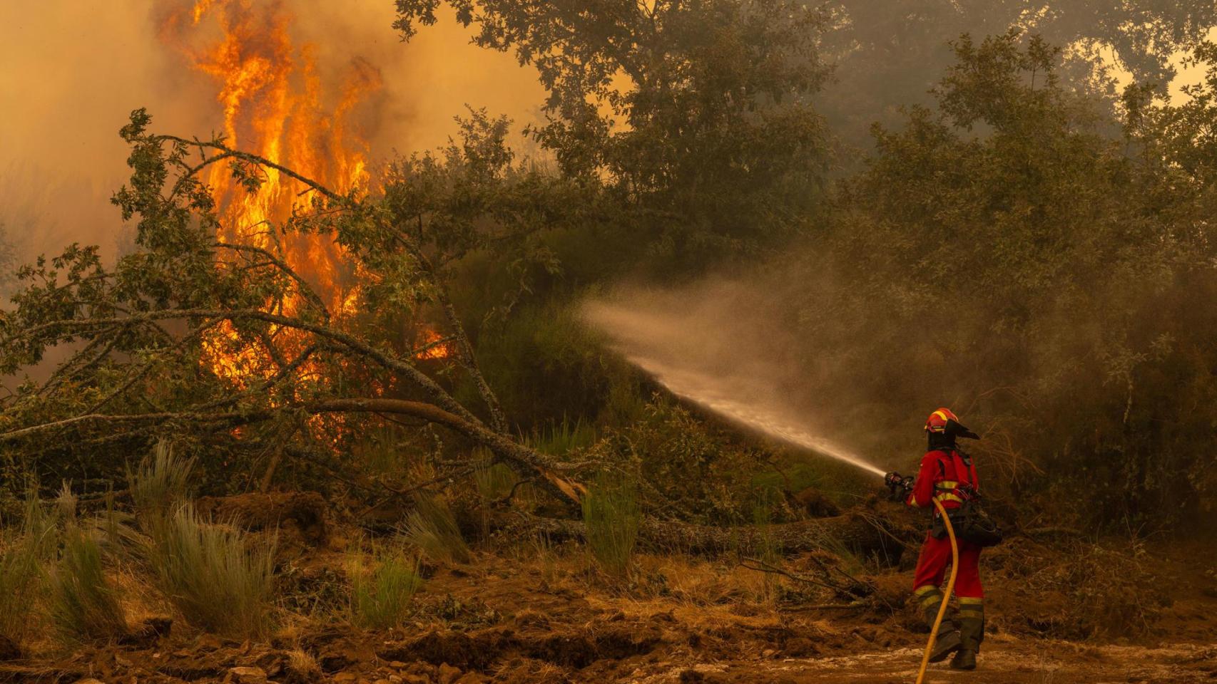 Extinguido el incendio forestal en A Laracha (A Coruña), que afectó a 33,5 hectáreas de terreno