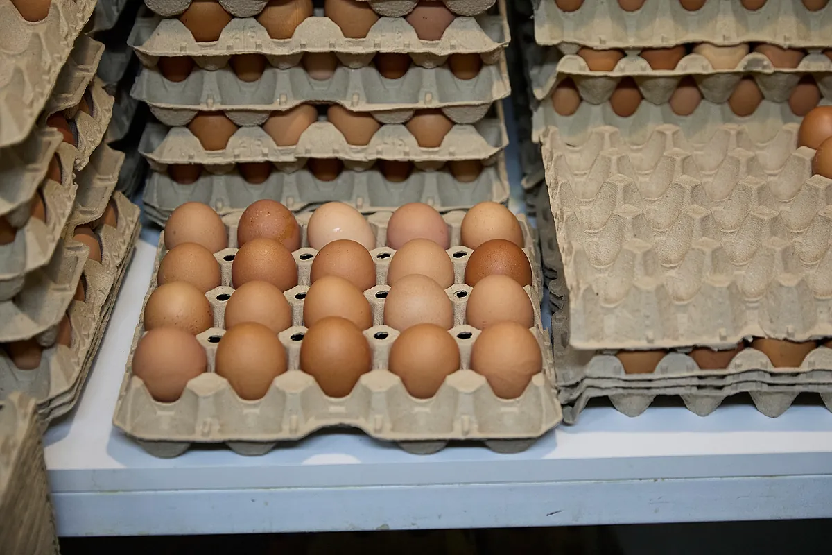 Huevos, café, carne de vacuno y chocolate disparan sus precios en lo que va de año