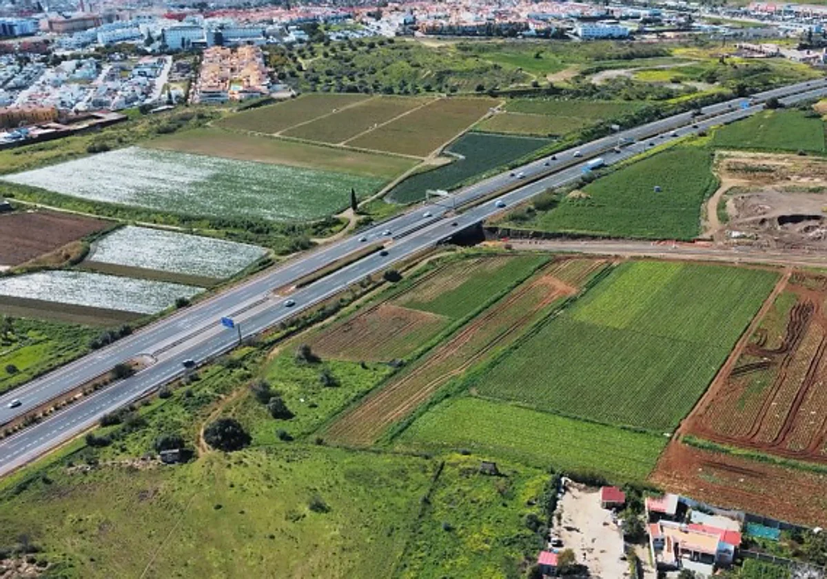Los productores de tropicales reclaman acelerar la desaladora y un plan hídrico integral en la Axarquía
