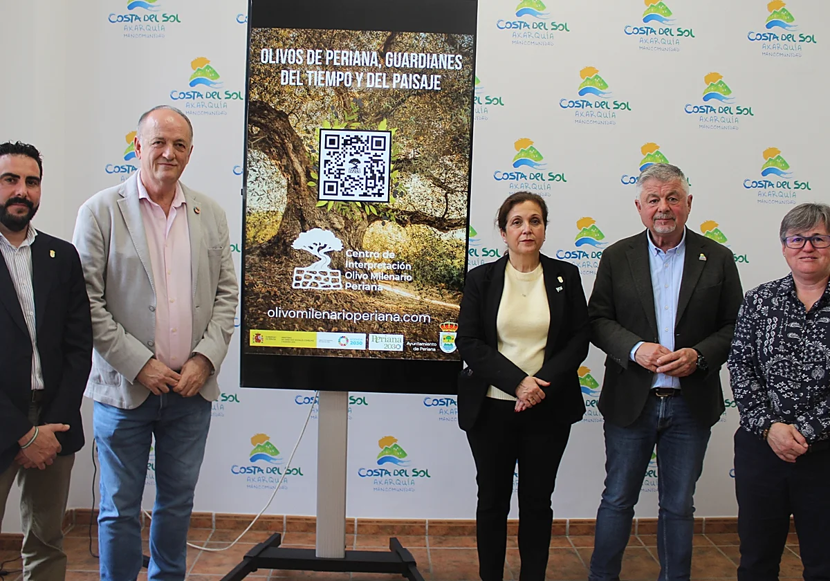 Los olivos milenarios de Periana: un viaje entre raíces, historia y futuro