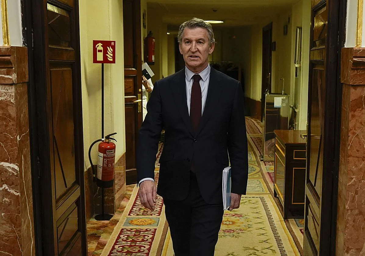 Feijóo cumple su 'legislatura' en el PP con cadena de victorias electorales pero sin Moncloa y con el lastre de Vox