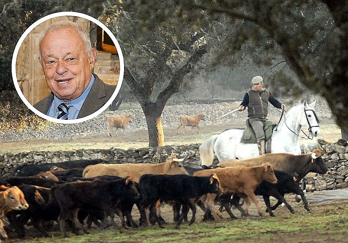 El Gobierno de Castilla y León marca perfil taurino y plantea que la doma vaquera sea bien cultural