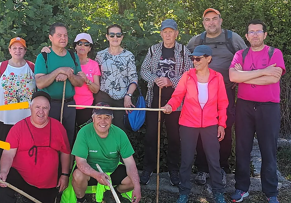 Malaga mushroom farming provides lifeline for unemployed and disabled women