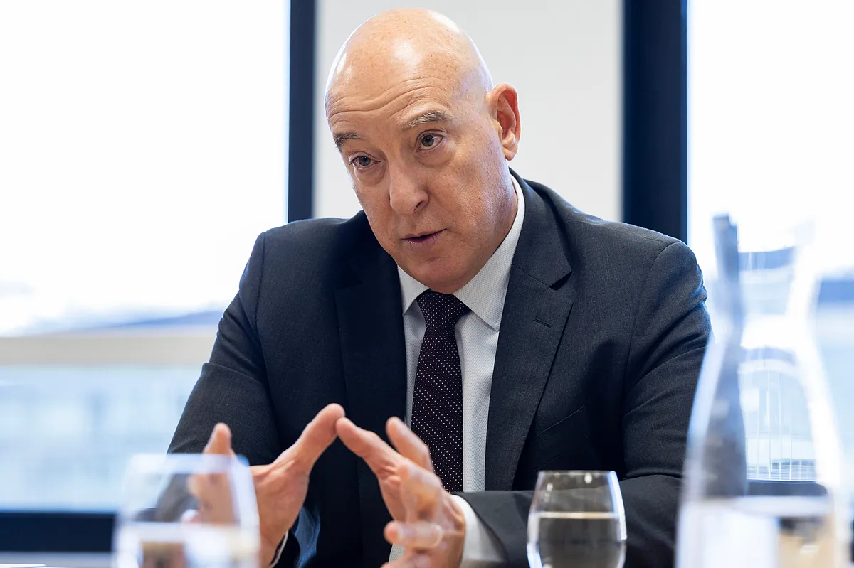 "Celsa está saneada y busca crecer de forma orgánica e inorgánica"