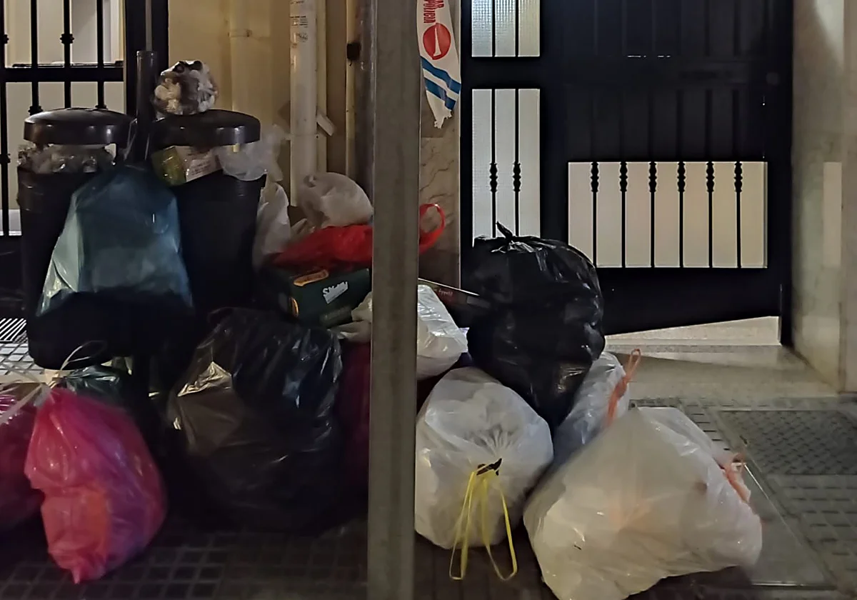 «Hemos tenido que retirar las bolsas de basura para entrar al portal en silla de ruedas»