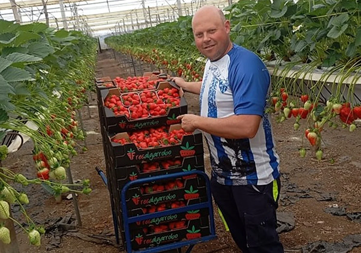 The Costa del Sol grower who has developed a sustainable method for his strawberries