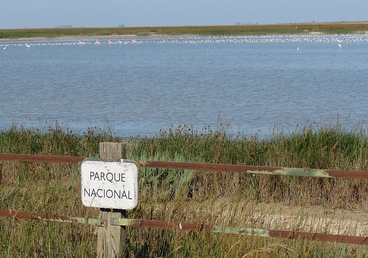 La Audiencia Nacional admite el recurso de la Junta por el deslinde de las marismas de Doñana