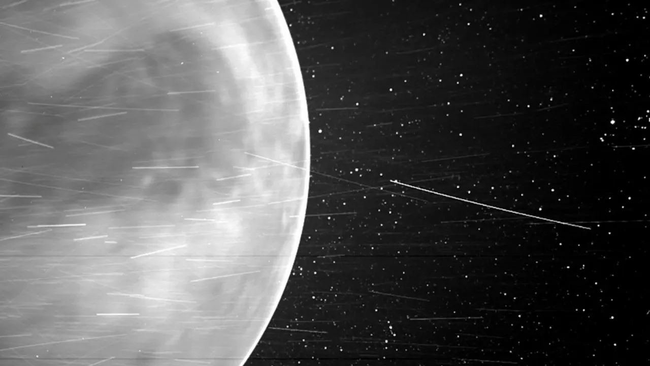 Si Venus tiene vida, posiblemente la importó desde la Tierra