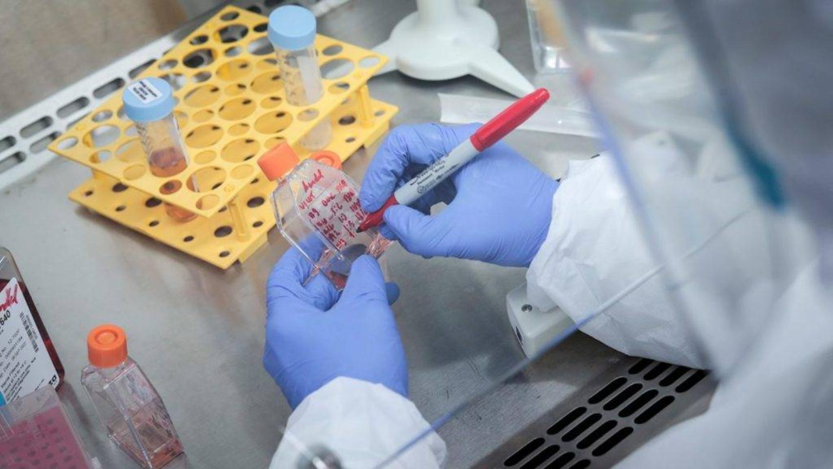 Científicos suecos se inventan una enfermedad pero la IA afirma que es real: el insólito caso de la bixonimania