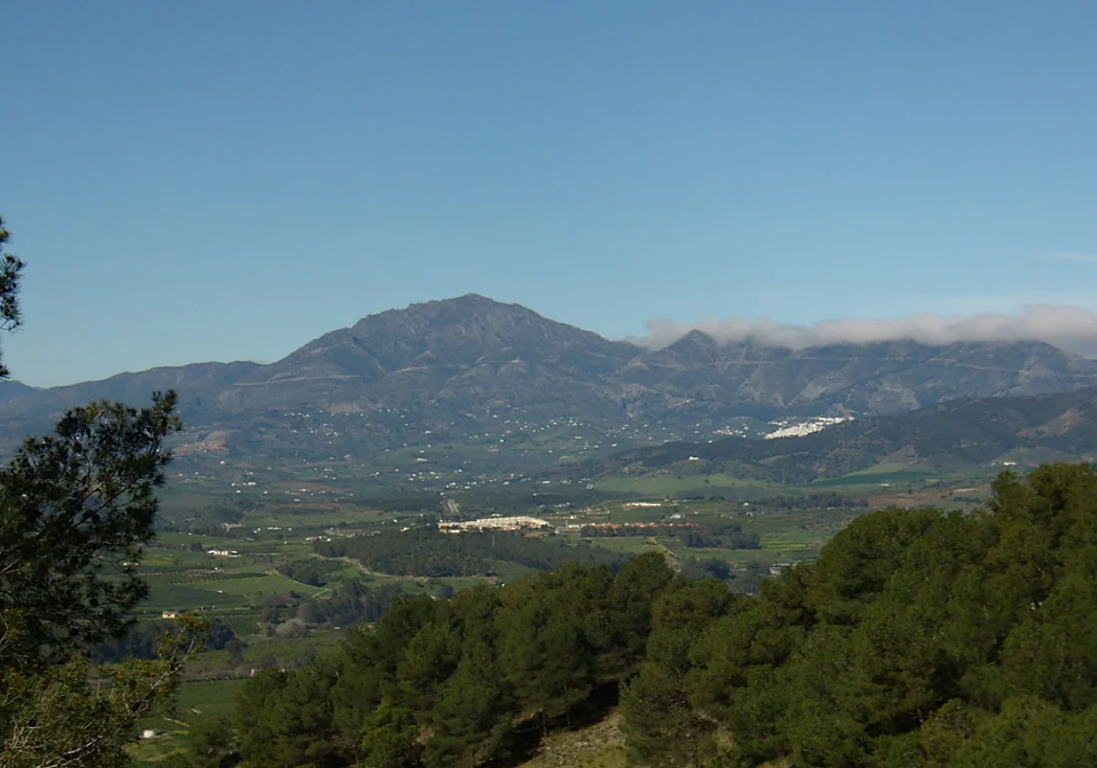 El Gobierno archiva la planta fotovoltaica 'FV Zalea' tras la renuncia del promotor