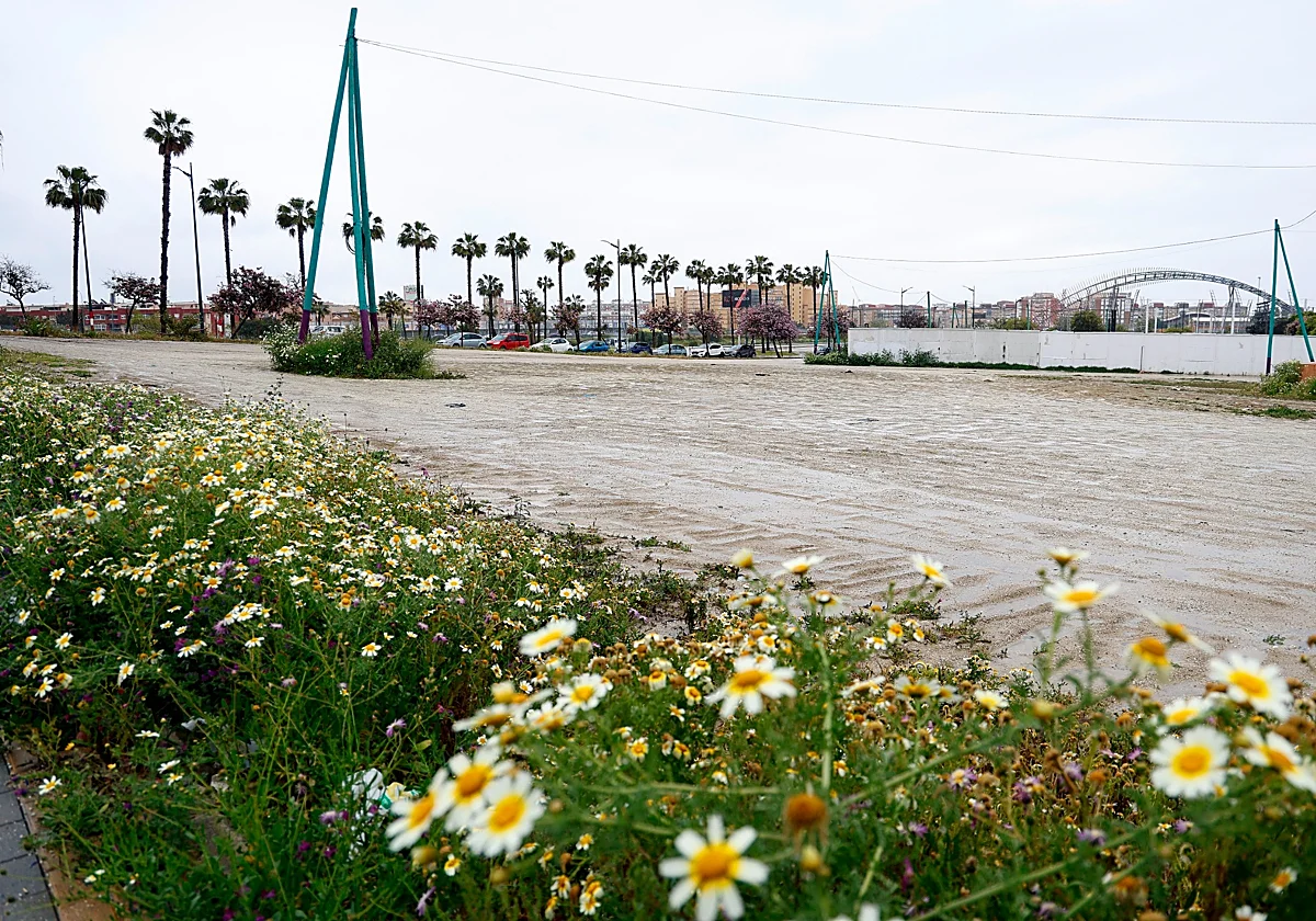 Los propietarios del Movistar Arena de Madrid siguen interesados en construir un gran recinto de conciertos en Málaga