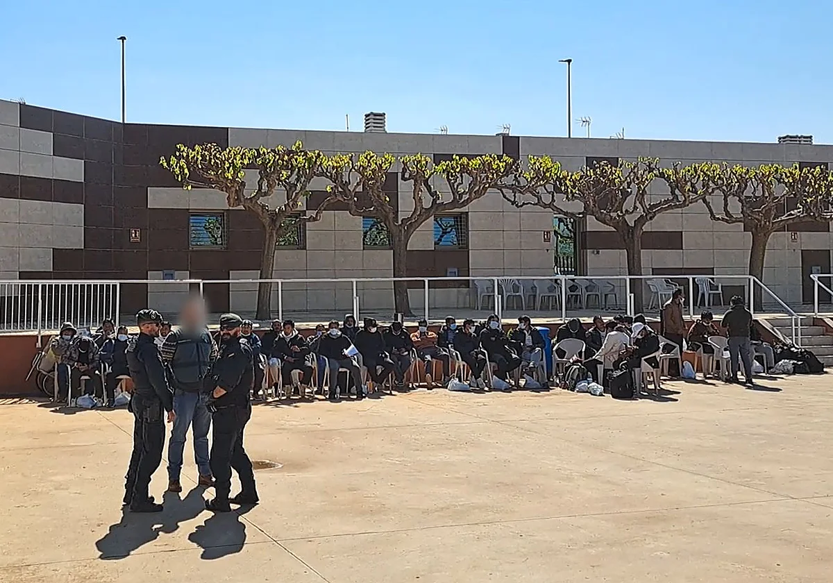 80 inmigrantes liberados de una red que los explotaba en el campo como esclavos