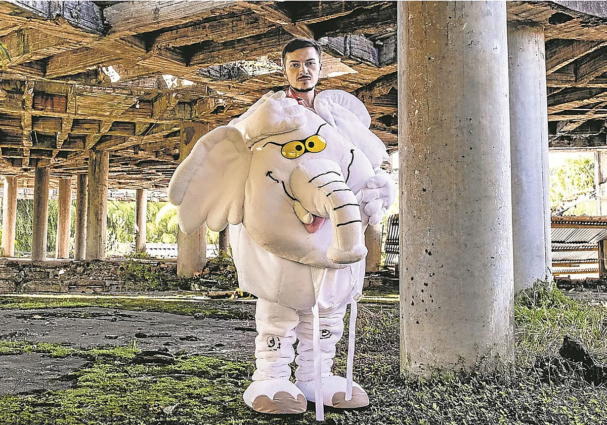 Un elefante se cuela en el Senado de Colombia