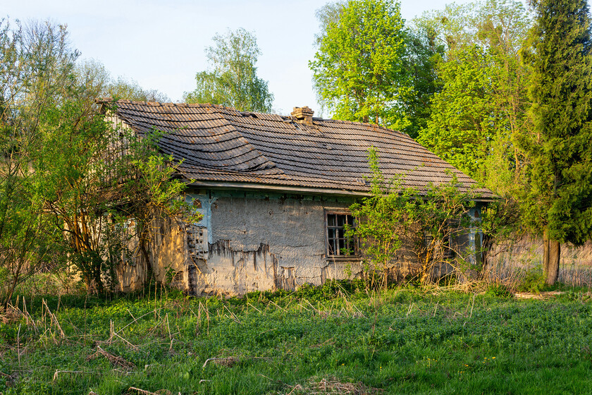 Una familia quiso vivir solo con paneles solares, agua de pozo y un huerto. Hasta que Italia le quitó a sus hijos