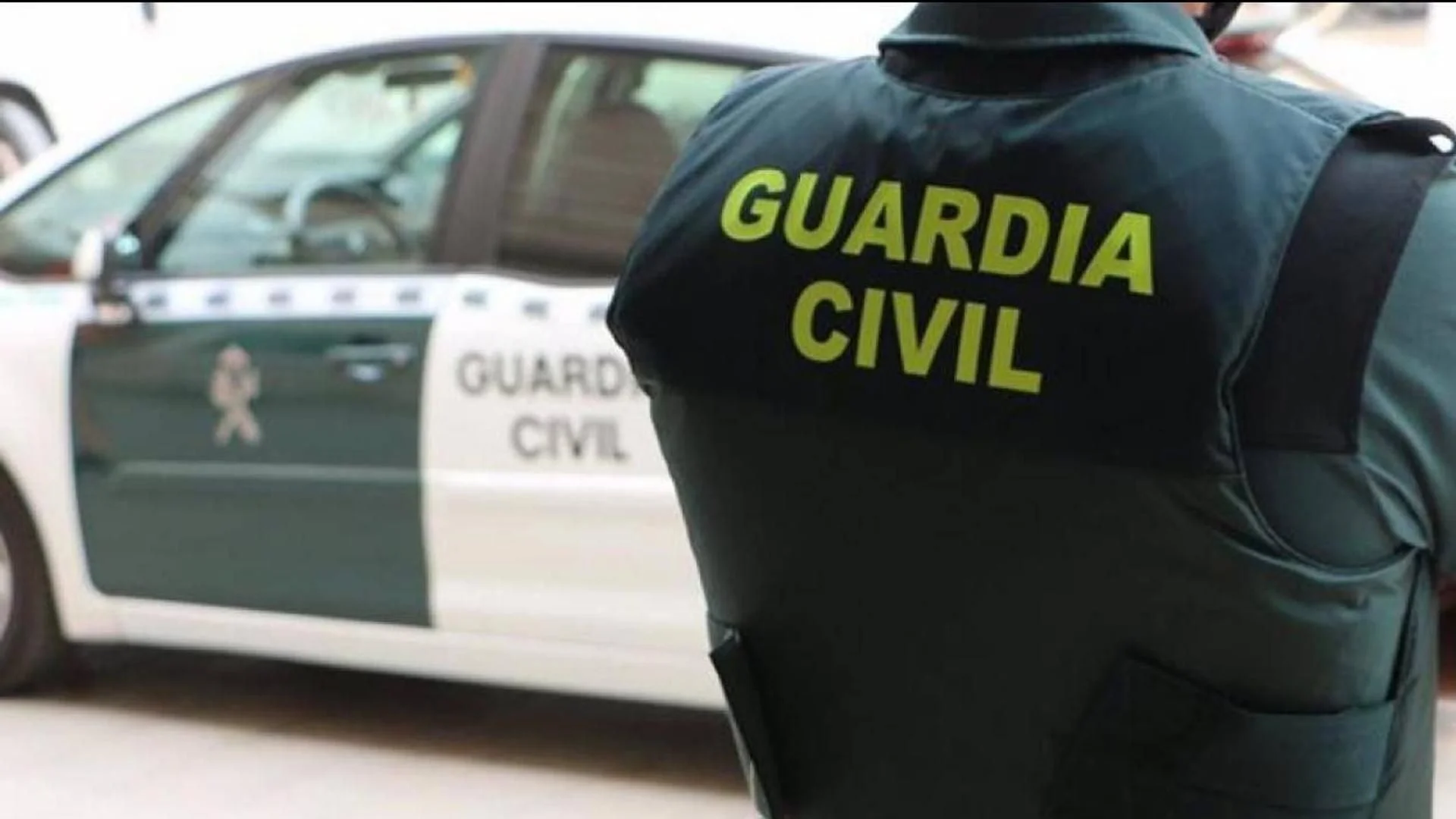 Cinco detenidos por robar más de 70 caballos y matar a cinco de ellos en La Coruña