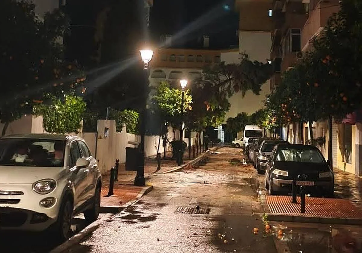 Un hombre herido en Málaga por la caída de un árbol en una madrugada con una treintena de incidencias en la provincia