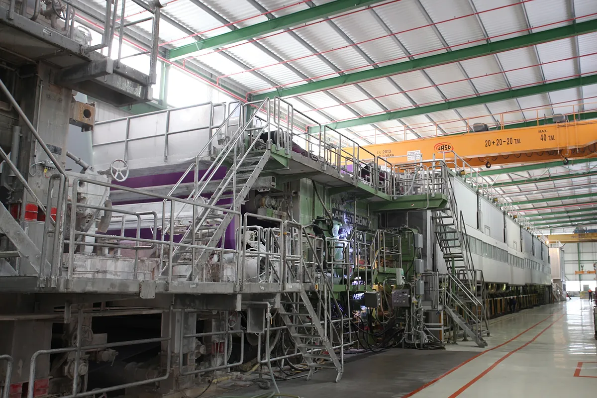 Apollo, Cheyne y Tikehau inyectan 72 millones en Torraspapel y sanean el balance Lecta