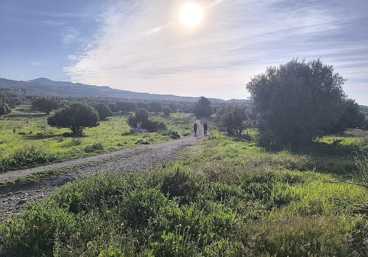 Cortijo de Poey: the little-known area of Vélez-Málaga that could be turned into a large park