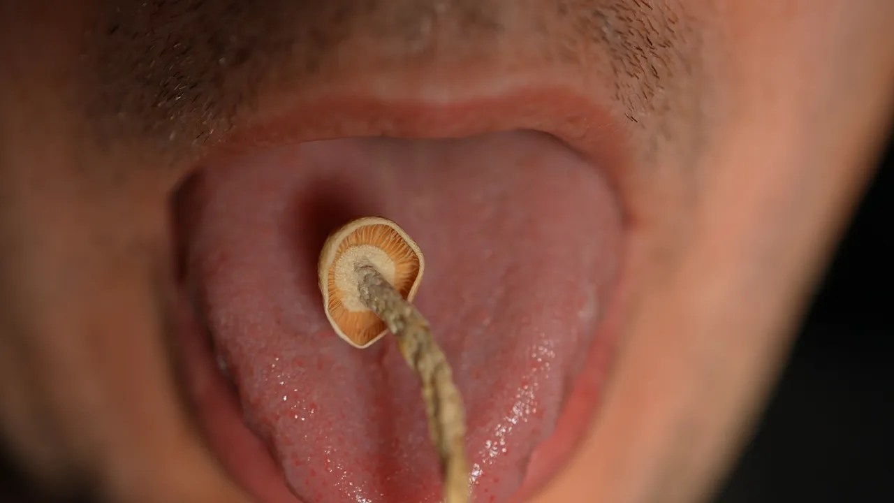 Dos pasos adelante, uno atrás en la investigación de la psilocibina terapéutica