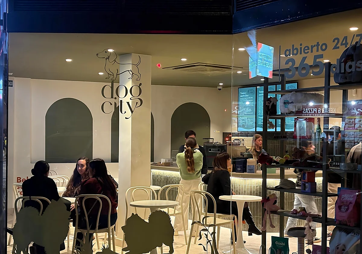 Dog City: das erste Luxushotel für Hunde in Málaga