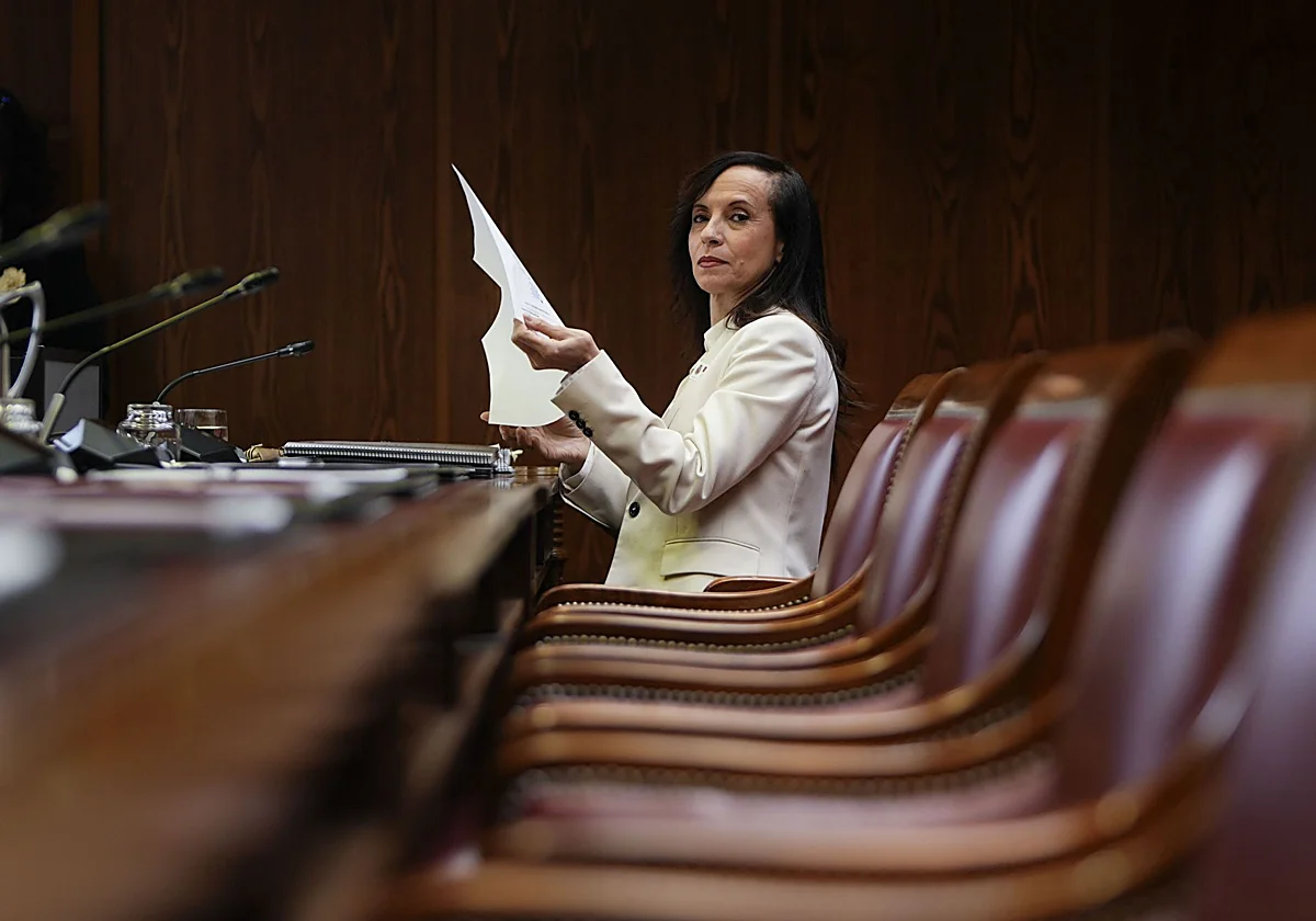 El Senado culpa a Red Eléctrica y al Gobierno como responsables del apagón