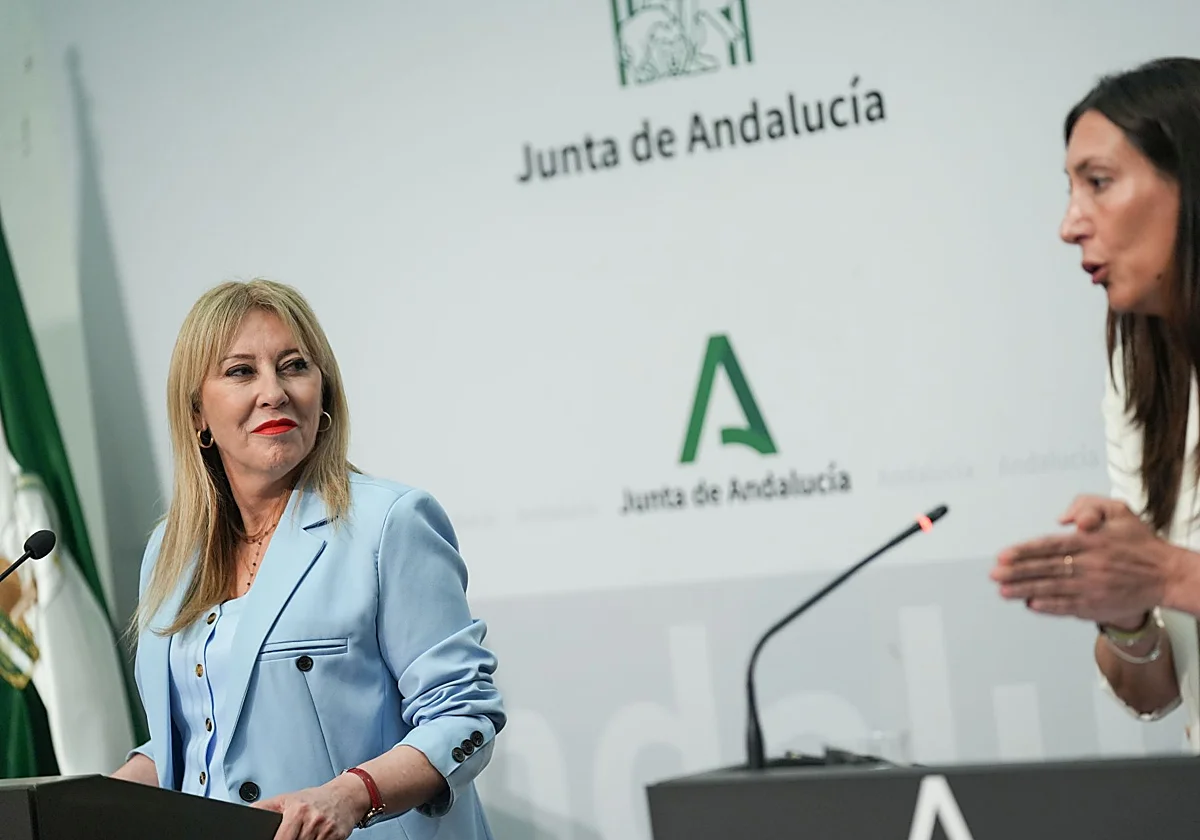 La Junta de Andalucía aprueba el nuevo decreto de familias monoparentales: todo lo que debes saber