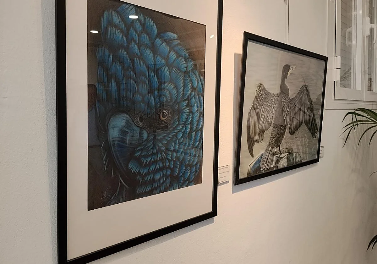 Guadalhorce cultural group hosts collaborative exhibition