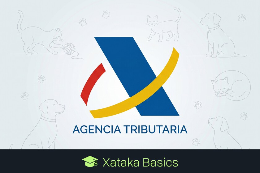 Cómo deducirte los gastos del veterinario en la Renta 2025: en qué comunidades se puede y cómo hacerlo en la declaración de 2026