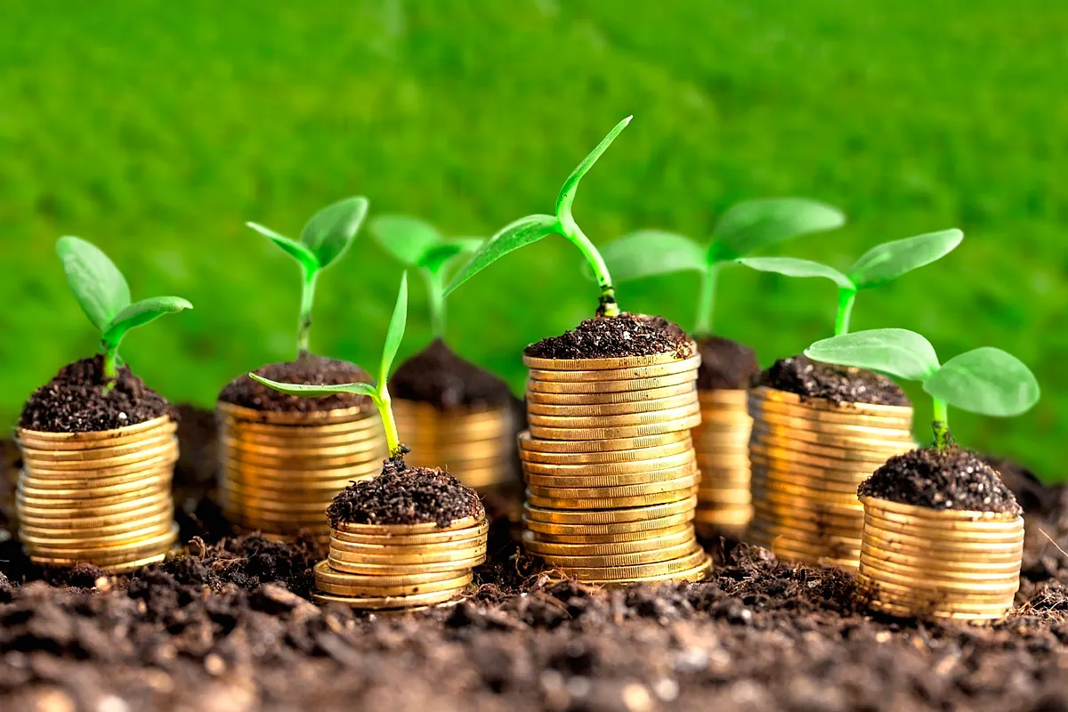 'Value', energía y Latinoamérica: los fondos españoles más rentables