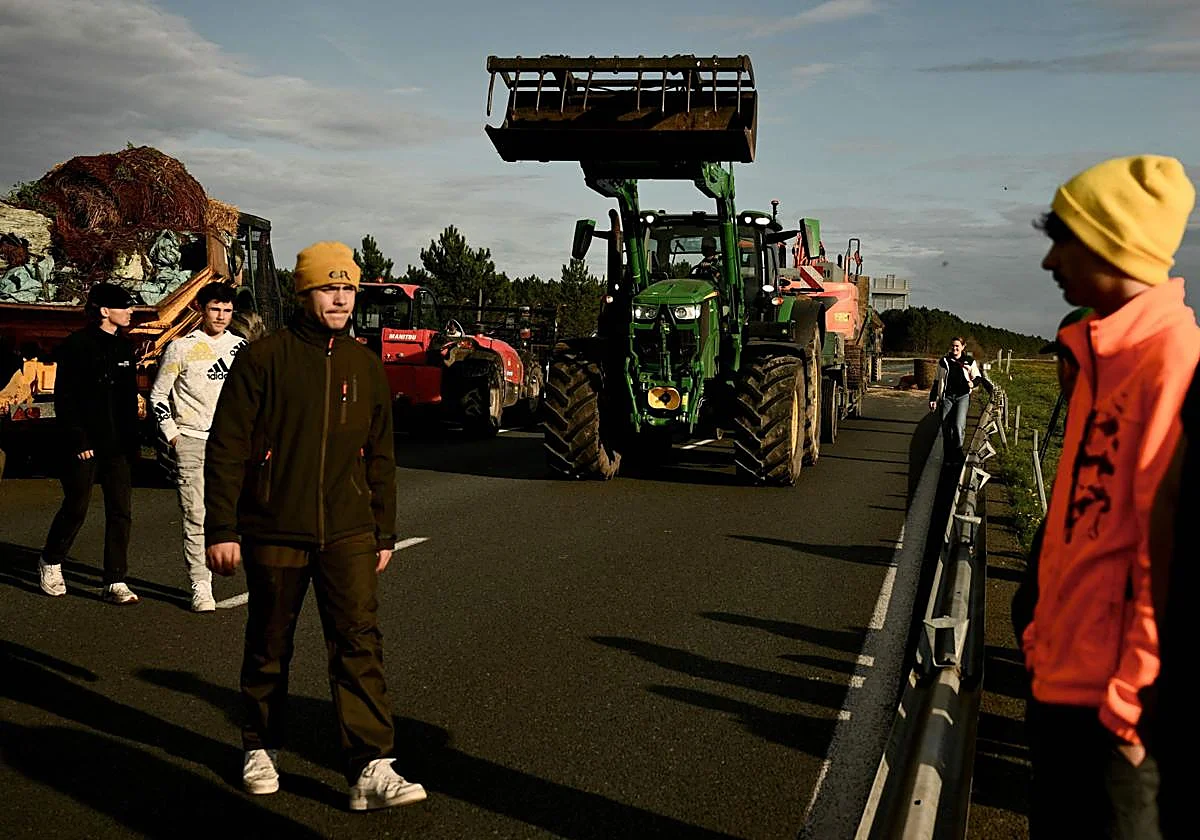 Los agricultores franceses presionan al Gobierno por la gestión de la dermatosis