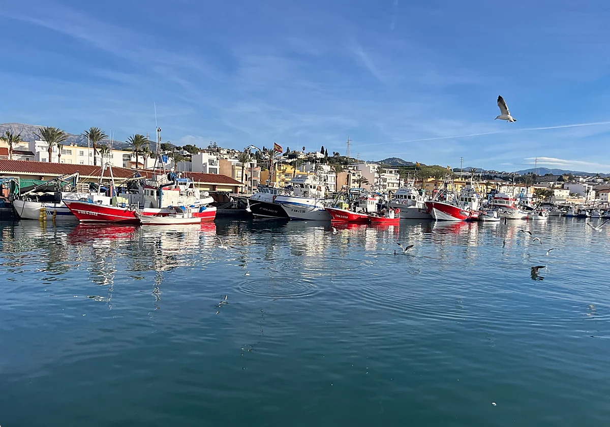 La pesca artesanal de Málaga, en peligro: «Se está destruyendo una profesión milenaria»