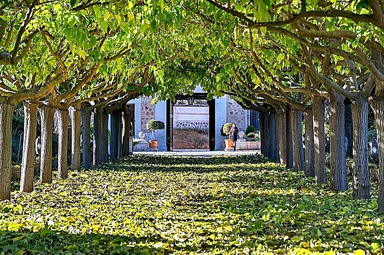 Cómo innova el sector gastronómico