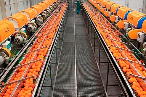 Zuvamesa gana un 40% más tras invertir 30 millones de euros