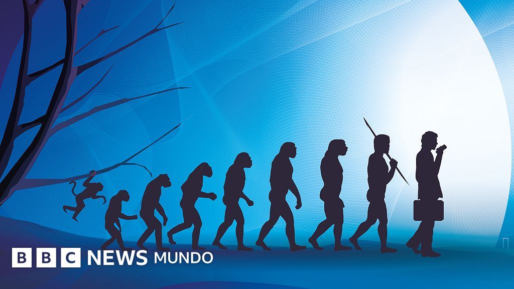 El cuerpo humano no es una obra maestra del diseño, sino un mosaico de compromisos evolutivos