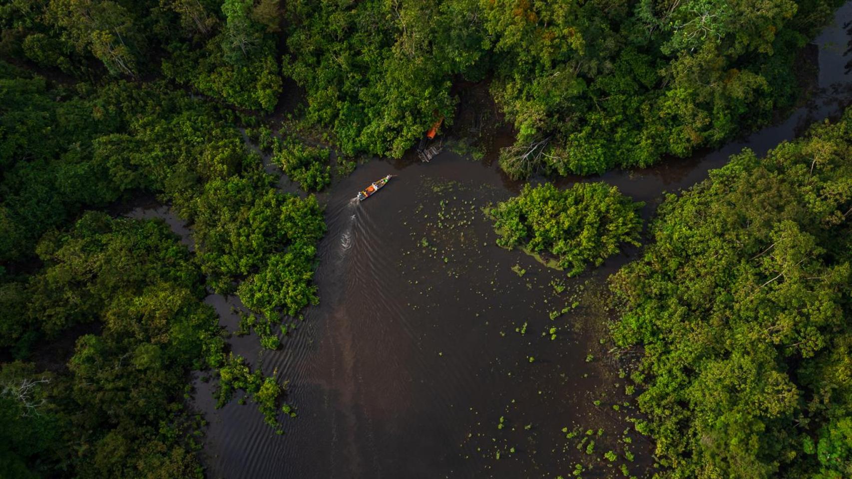 La amazonía peruana en peligro: así cercan la minería y el gas a sus ecosistemas y las comunidades indígenas