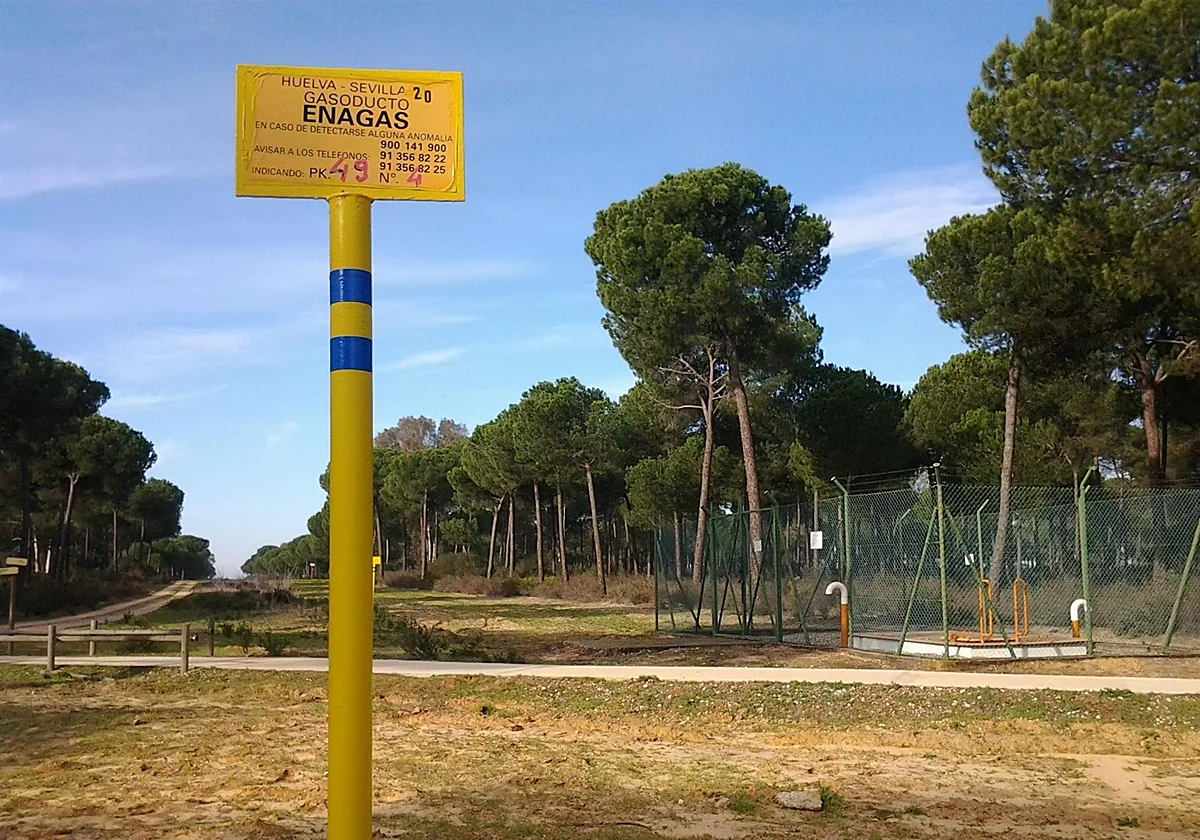 Spanish government authorises the dismantling of gas installations near Doñana National Park