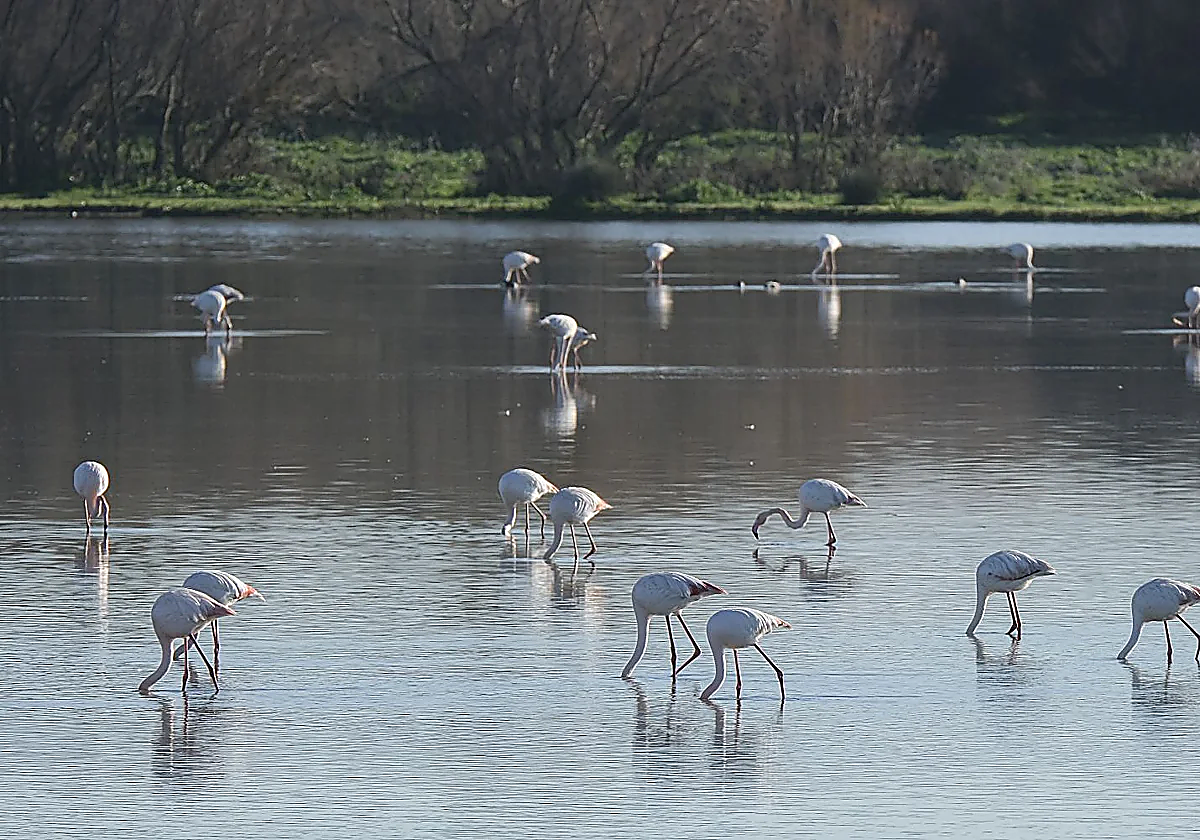 La Fundación BBVA convoca el Programa Prismas y Problemas, dotado con 3 millones de euros